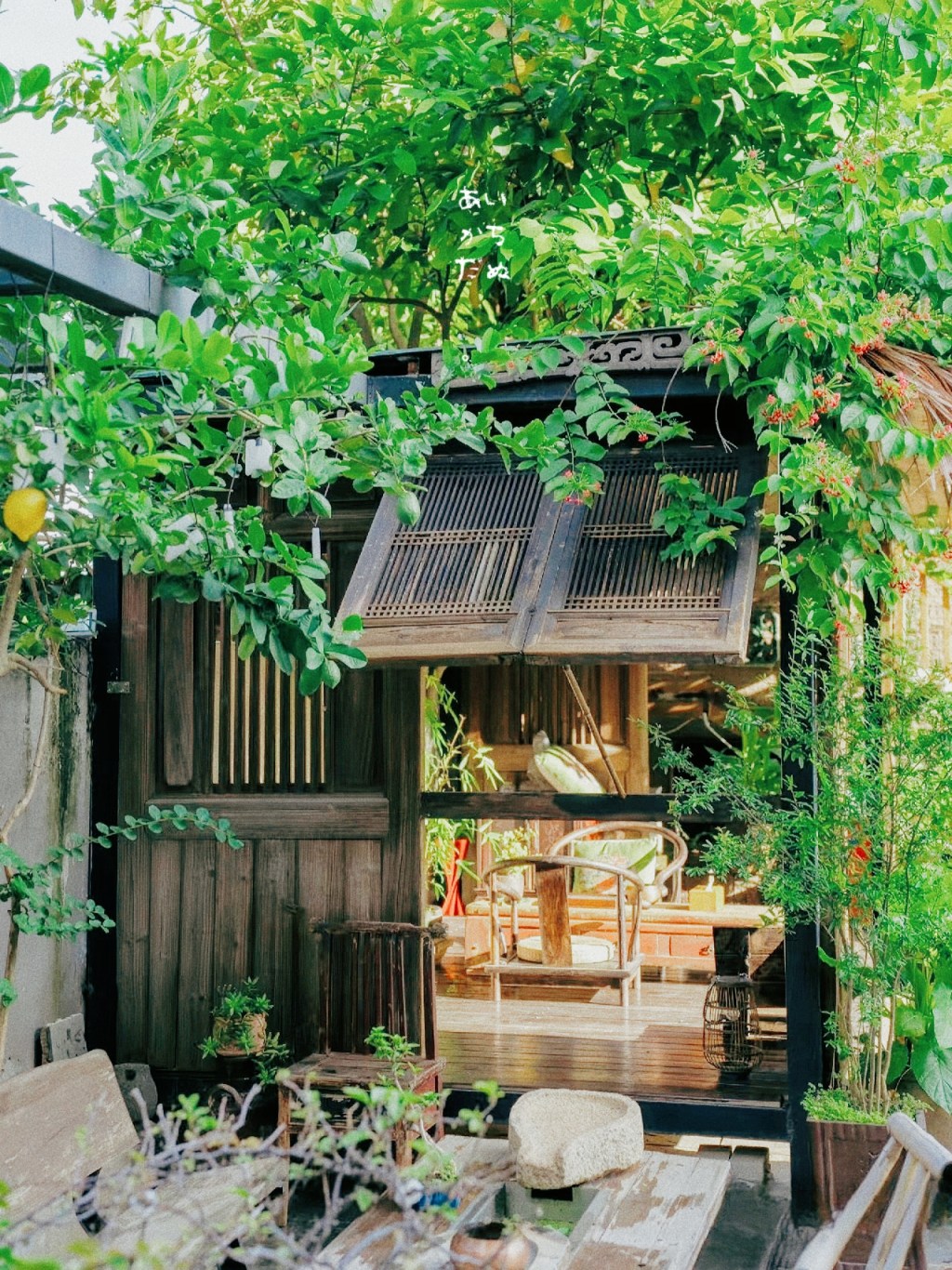 【旬季】蝉時雨