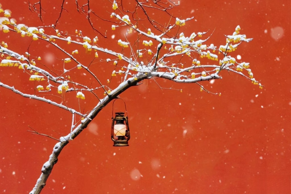 【冰弦听雨】疏影——梅花